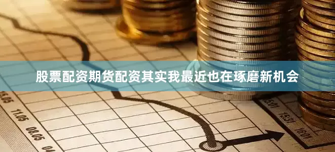 股票配资期货配资其实我最近也在琢磨新机会
